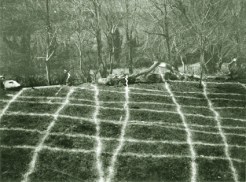 Red Hartman, foto M.Povo 1995