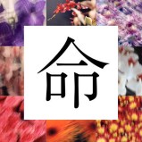 cropped-web-fragmento-cartel